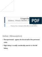 Urogenital and Reproductive Female. Carangian and Siriban