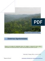 sistemas-agroforestales (1).pdf