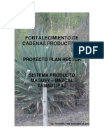 Plan Rector Agave Mezcal