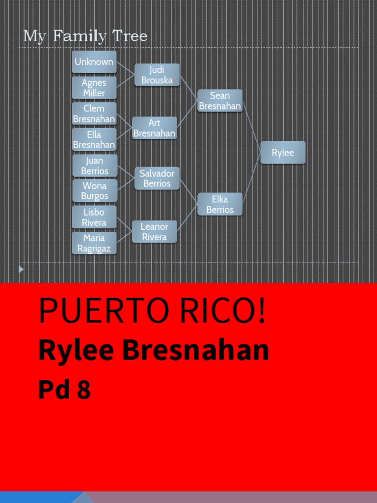 Puerto Rico | PDF