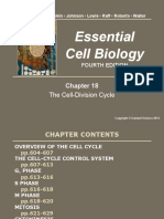 Essential Cell Biology: The Cell-Division Cycle