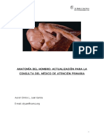 Anatomía del Hombro.pdf