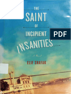 Elif Shafak-The Saint of Incipient Insanities - A Novel-Farrar