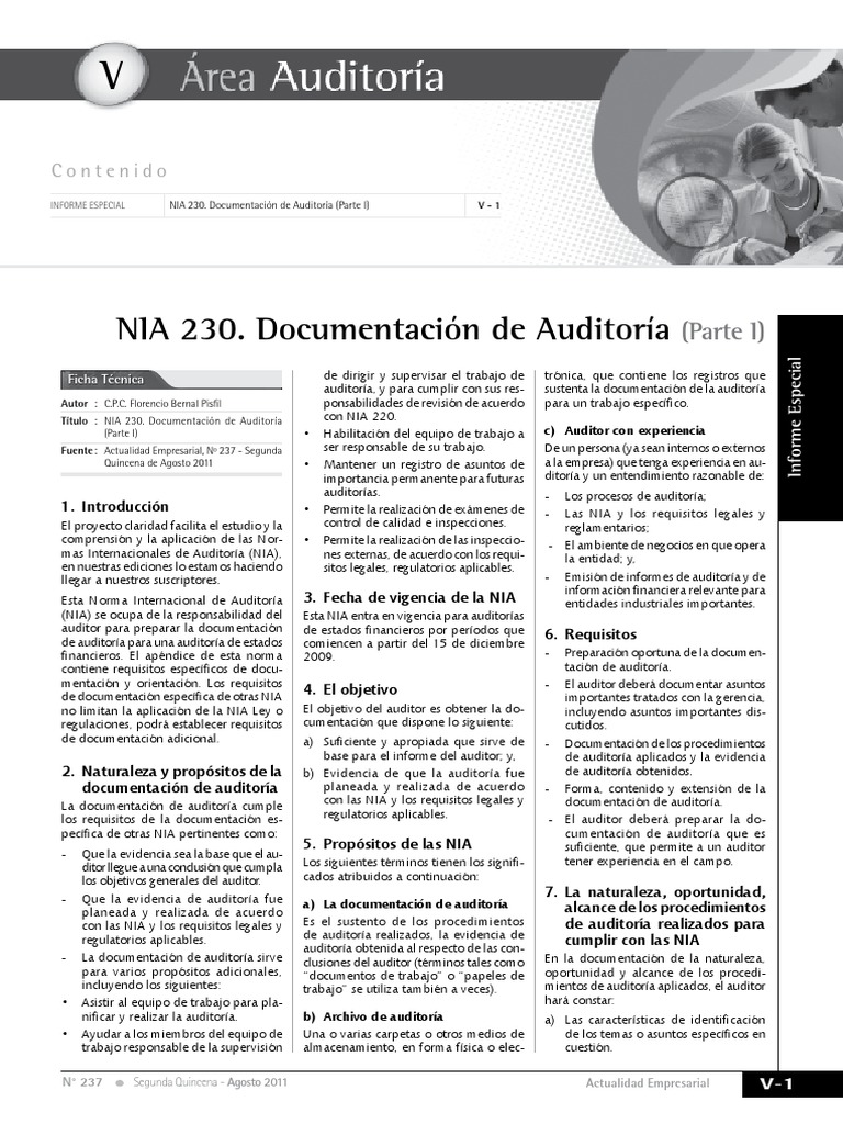 NIA 230 I.pdf Contralor Auditoría financiera