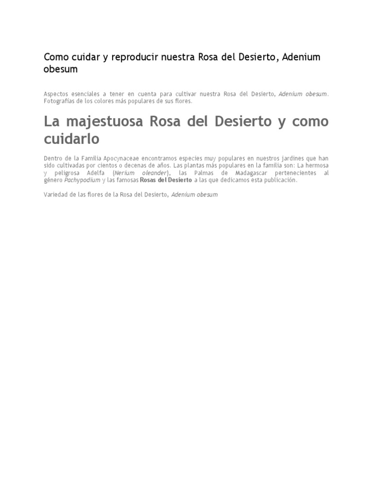 Image Result For Rosa Del Desierto Gua Completa De Cuidados Y