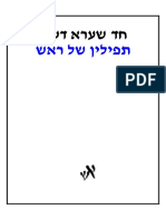 תפילין - חד שערא דעגל - אריה שכטר