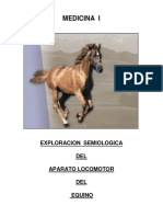 aparato_locomotor.pdf