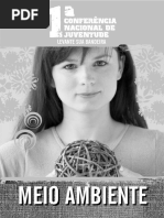 08 Meio Ambiente