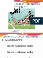 Lesions Musc Tend Calvi