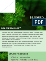 Oceana: Seaweed
