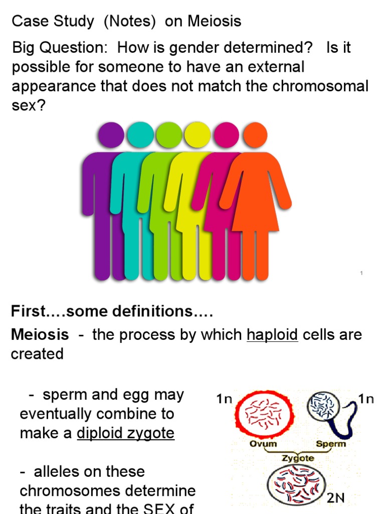 Sry not sry case study picture