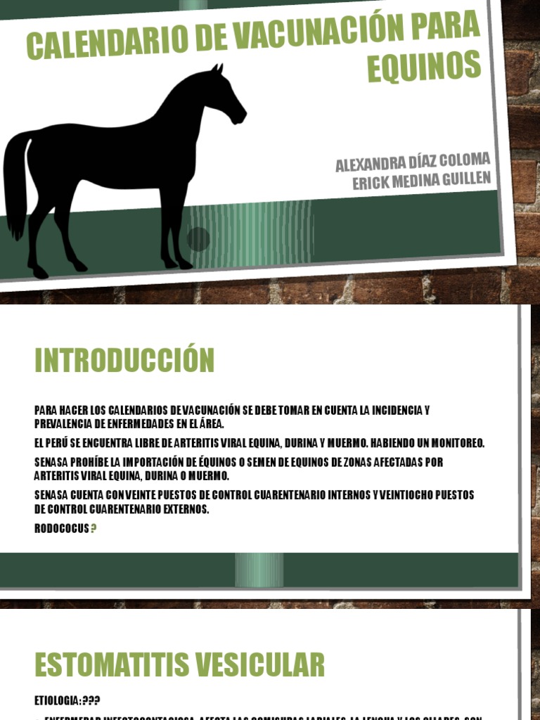 Calendario de Vacunación Para Equinos | Procariota | Las ...