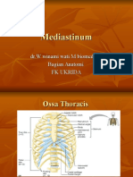 Presentasi Mediastinum