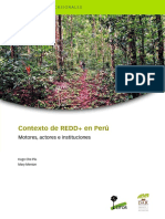 PDH Cifor PDF