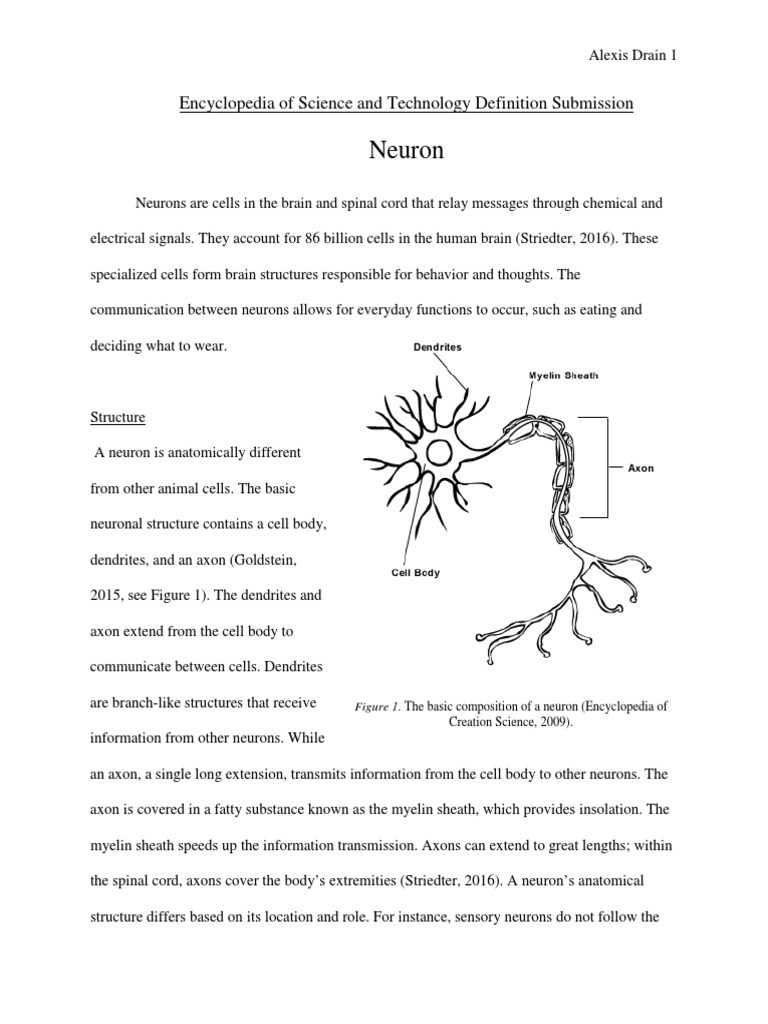 Neuron Cell Definition Define What A Neuron Is And Draw The Structure.