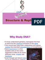 IT3 - Central Dogma (Struktur, Fungsi, Dan Replikasi DNA) Edit - SN