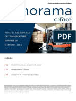 Analiza+Transportatorilor+din+Romania.pdf