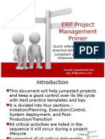 ERP Project Management Primer: Quick Reference Guide To Best Practice Templates and Tips To Jumpstart Your ERP Projects