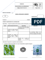 prcticatejidosvegetales-140616220753-phpapp01.pdf