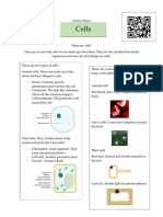 Science Basics cells