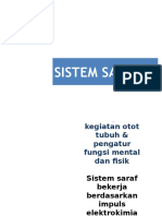 System Syaraf 100