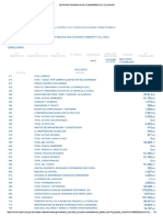 balances 2005 codisoft.pdf