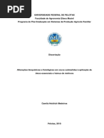 Dissertação - Camila Heidrich Medeiros
