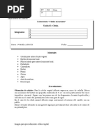 Laboratorio célula 8° Básico