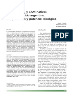 Passera PDF