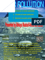 Water Pollution