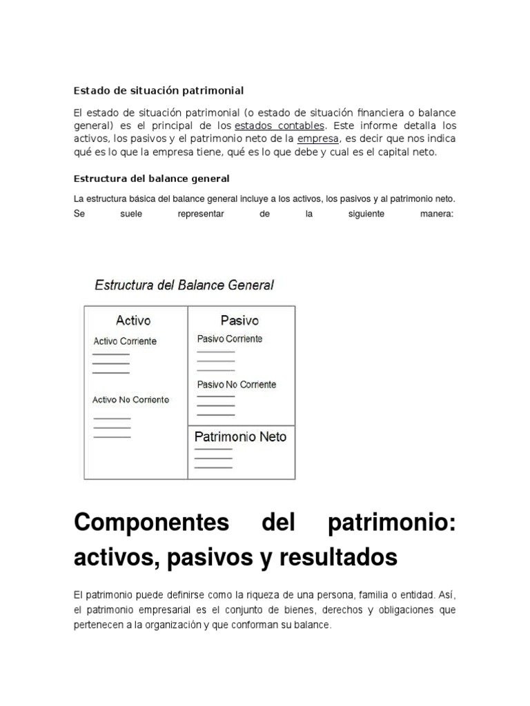 Estado de Situación Patrimonial Explicado | PDF | Hoja de balance ...