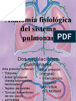 Anatomía Fisiológica Pulmón