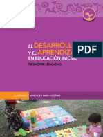 Desarrollo Aprendizaje PDF