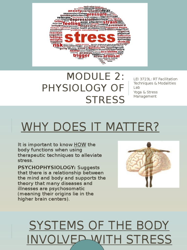 Physiology of Stress Response | PDF | Stress (Biology) | Autonomic ...