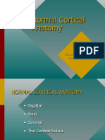 Normal Cortical Anatomy