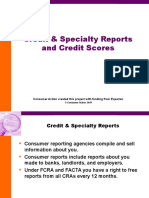 Credit Scores Reports Final