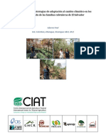 Final-Report-Vulnerability-CUP-ES-2012.pdf