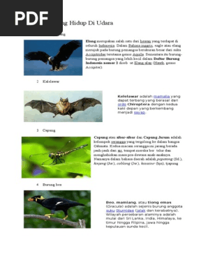 93+ Gambar Hewan Di Udara HD Terbaik