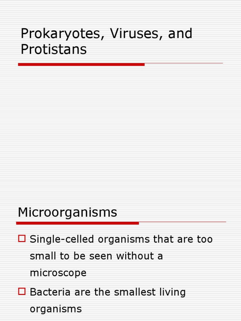 Prokaryotes and Viruses Overview | PDF | Bacteria | Microbiology