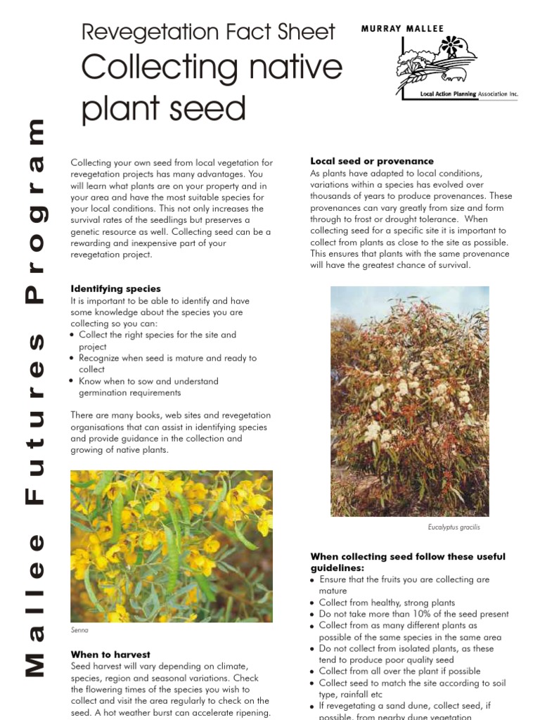 Collecting Native Plant Seed Revegetatin Fact Sheet Seed Fruit