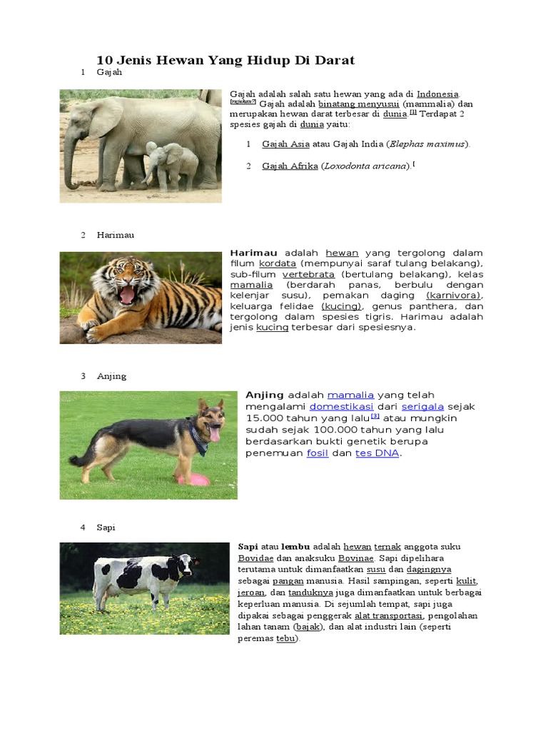 10 Jenis Hewan Yang Hidup Di Darat