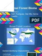 period 2 boreal forest