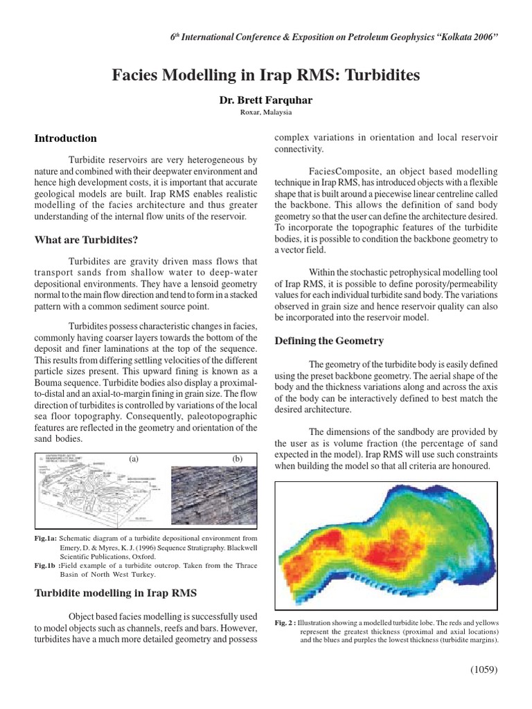 Facies Modelling in Irap RMS - Turbidites | PDF | Porosity | Earth Sciences