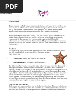 starfish dissection