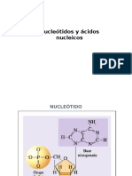 Nucleótidos
