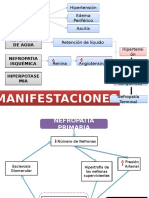 Manifestaciones IRC 