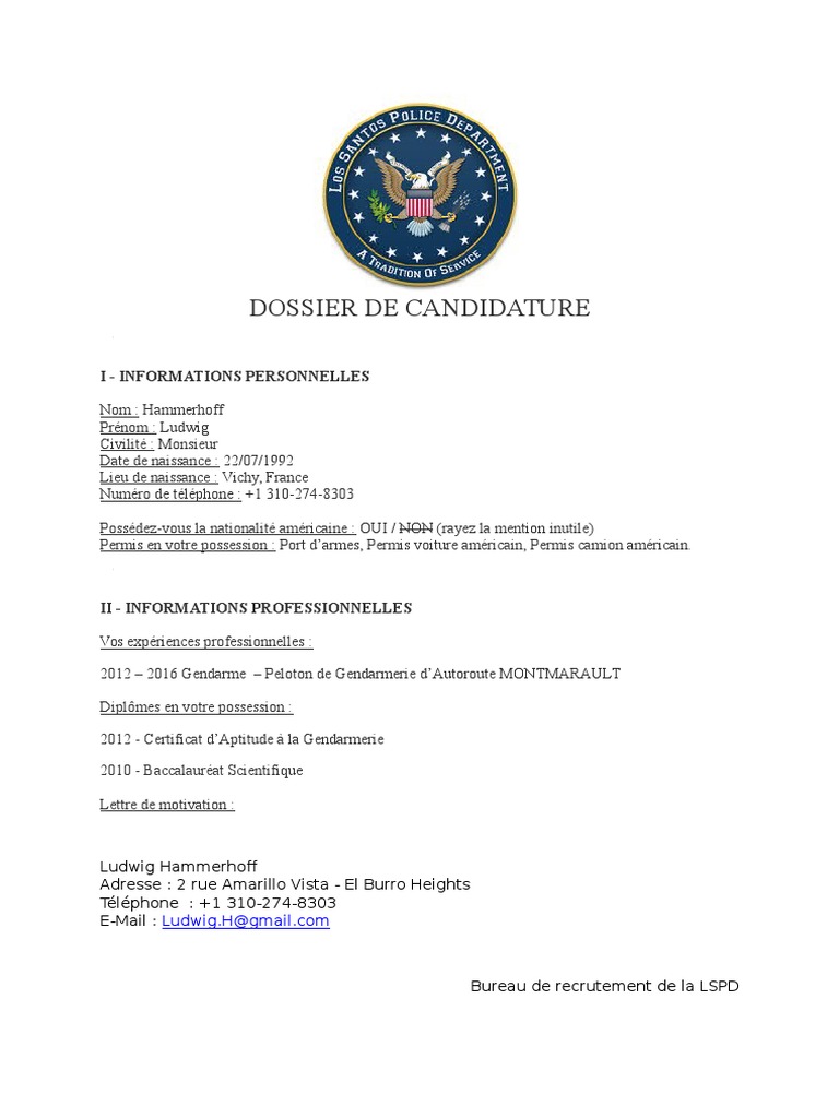 Candidature LSPD de Ludwig Hammerhof | PDF | La violence