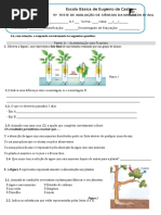 Teste 5 -PLANTAS Dia 10 Maio 2017 Tarde Olga