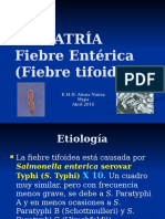 Fiebre Tifoidea ALEXIS