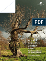 Ancient and Other Veteran Trees - Further Guidance On Management 2013